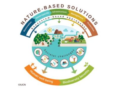 italian climate network nature-based solutions