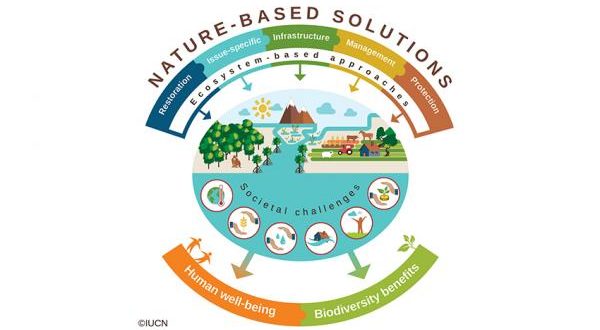 italian climate network nature-based solutions