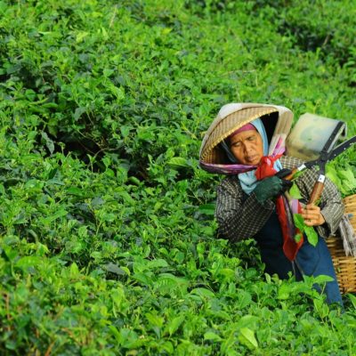 italian climate network Women and agricolture