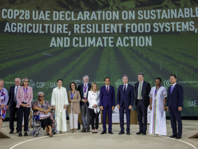 cop28 agricoltura e sistemi alimentari