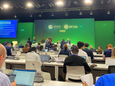 cop28 articolo 6 barbieri