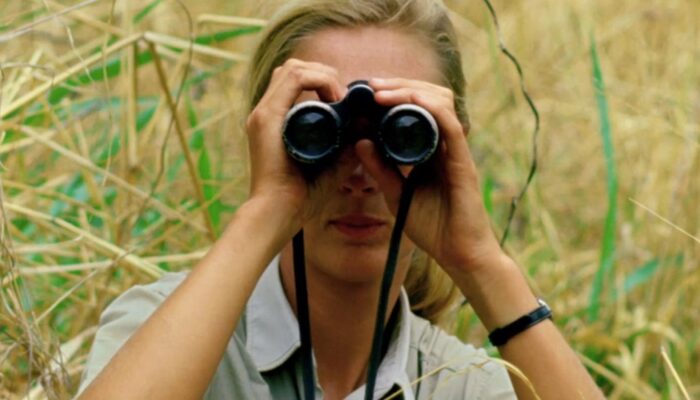 jane goodall