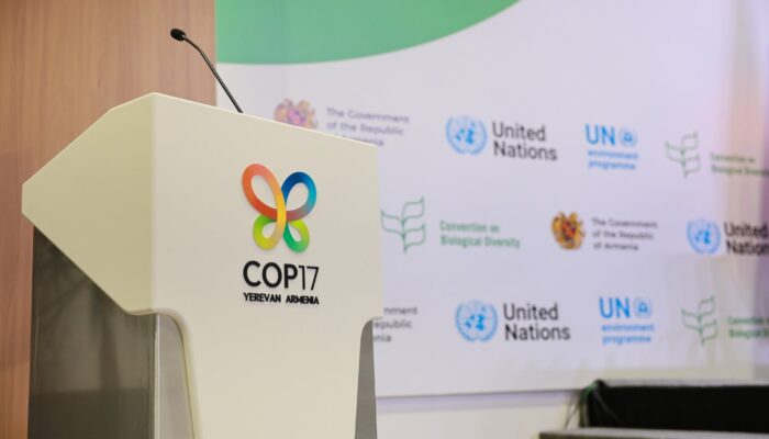COP17 biodiversità finanza